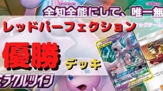 解説有 レッドパーフェクション優勝デッキレシピまとめ 炎mm ポケカ飯